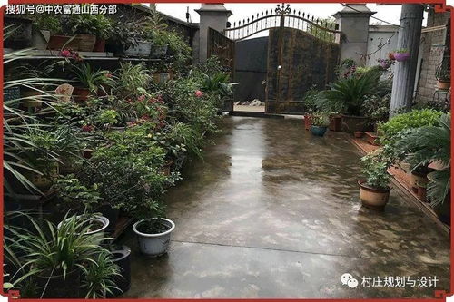 美丽乡村建设 体现乡土气息美丽庭院
