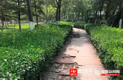 早安临沂 2021年6月17日
